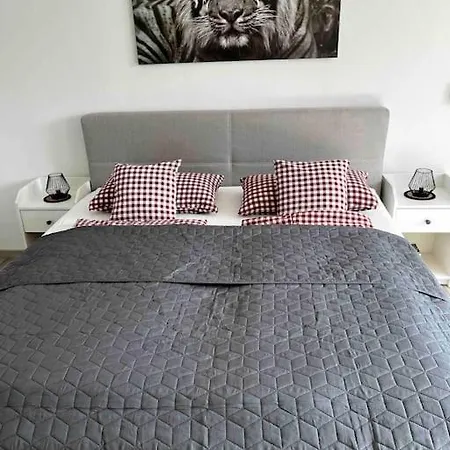 Franzis Σίνγκεν