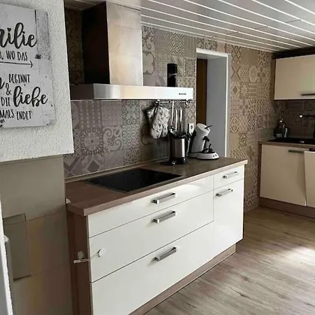 Franzis Holiday home Singen