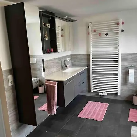 Franzis Σίνγκεν